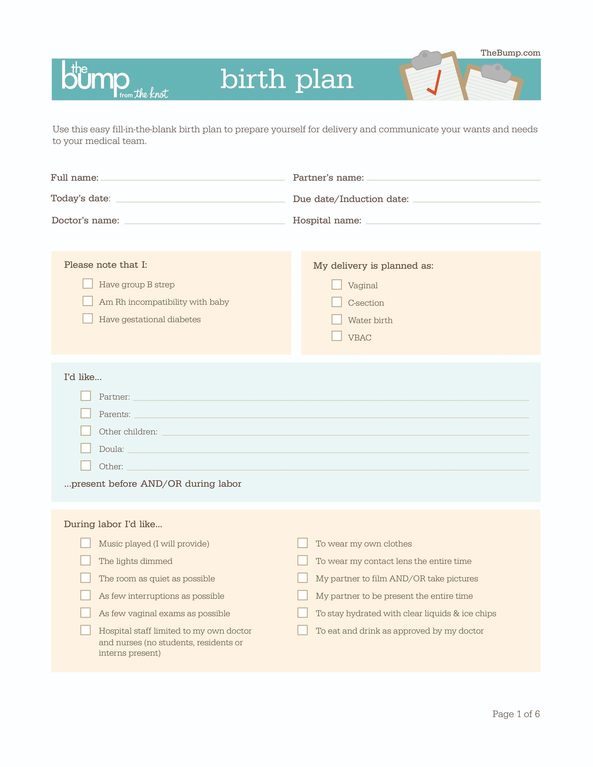 47+ Printable Birth Plan Templates [Birth Plan Checklist] ᐅ throughout Printable Birth Plan Template Free