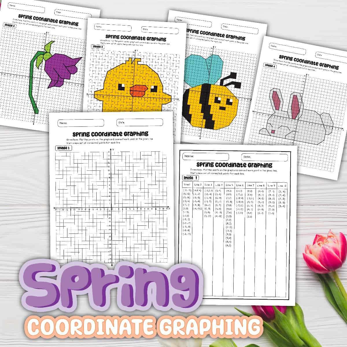 8 Free Pdf Coordinate Graphing Worksheets (Spring Pictures) pertaining to Free Printable Coordinate Graphing Pictures Worksheets