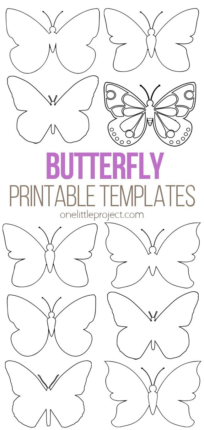 Butterfly Template | Free Printable Butterfly Outlines - One regarding Printable Different Size Butterfly Templates