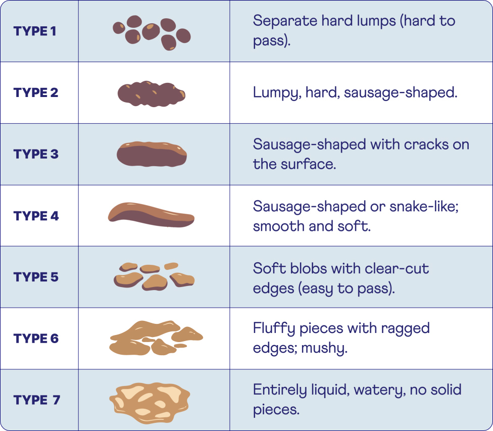 Cracking The Code: The Bristol Stool Chart - Heights intended for Free Printable Bristol Stool Chart