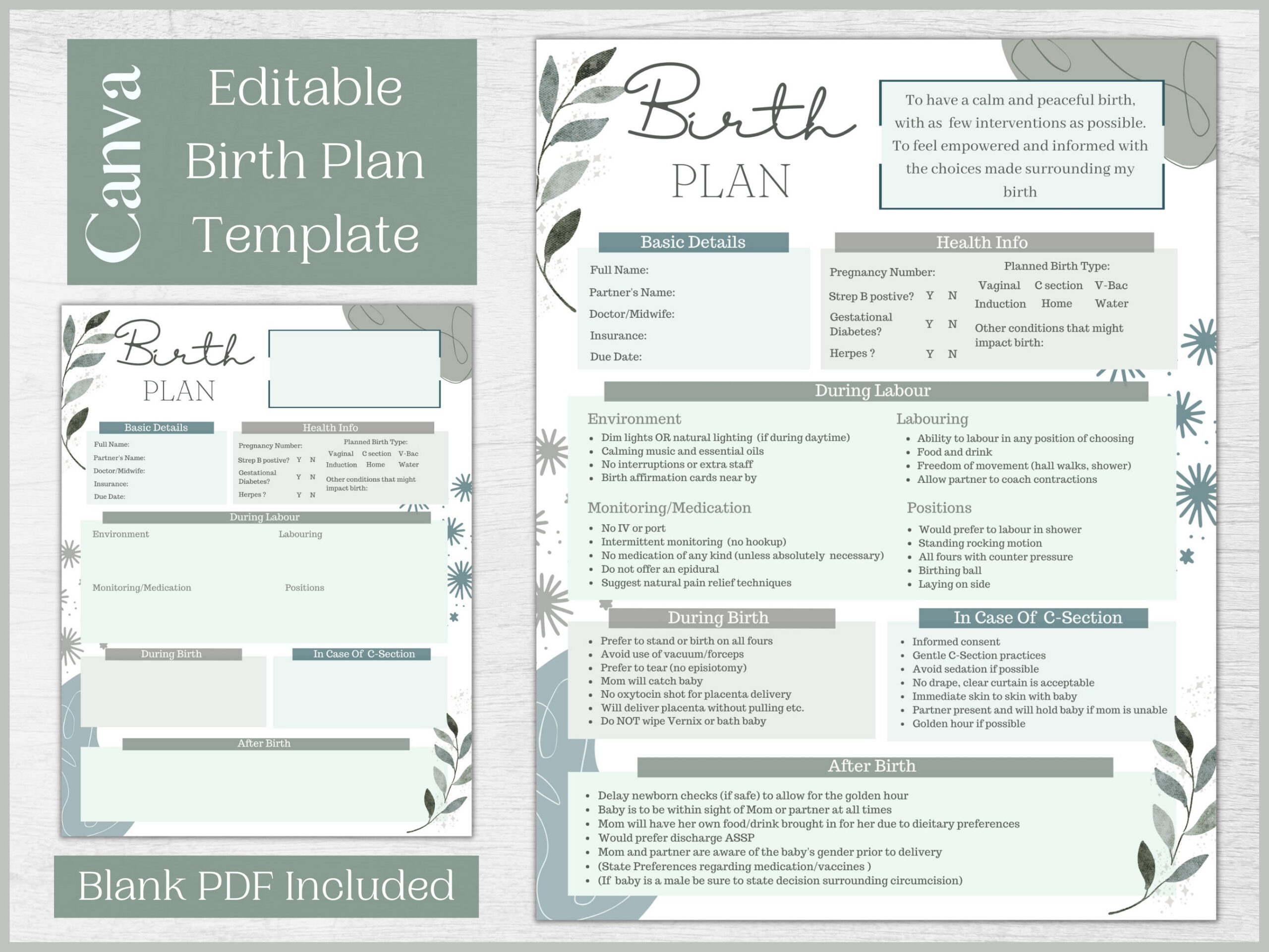 Editable Birth Plan Template | Printable Birthing Plan | Labour throughout Pdf Printable Birth Plan Template