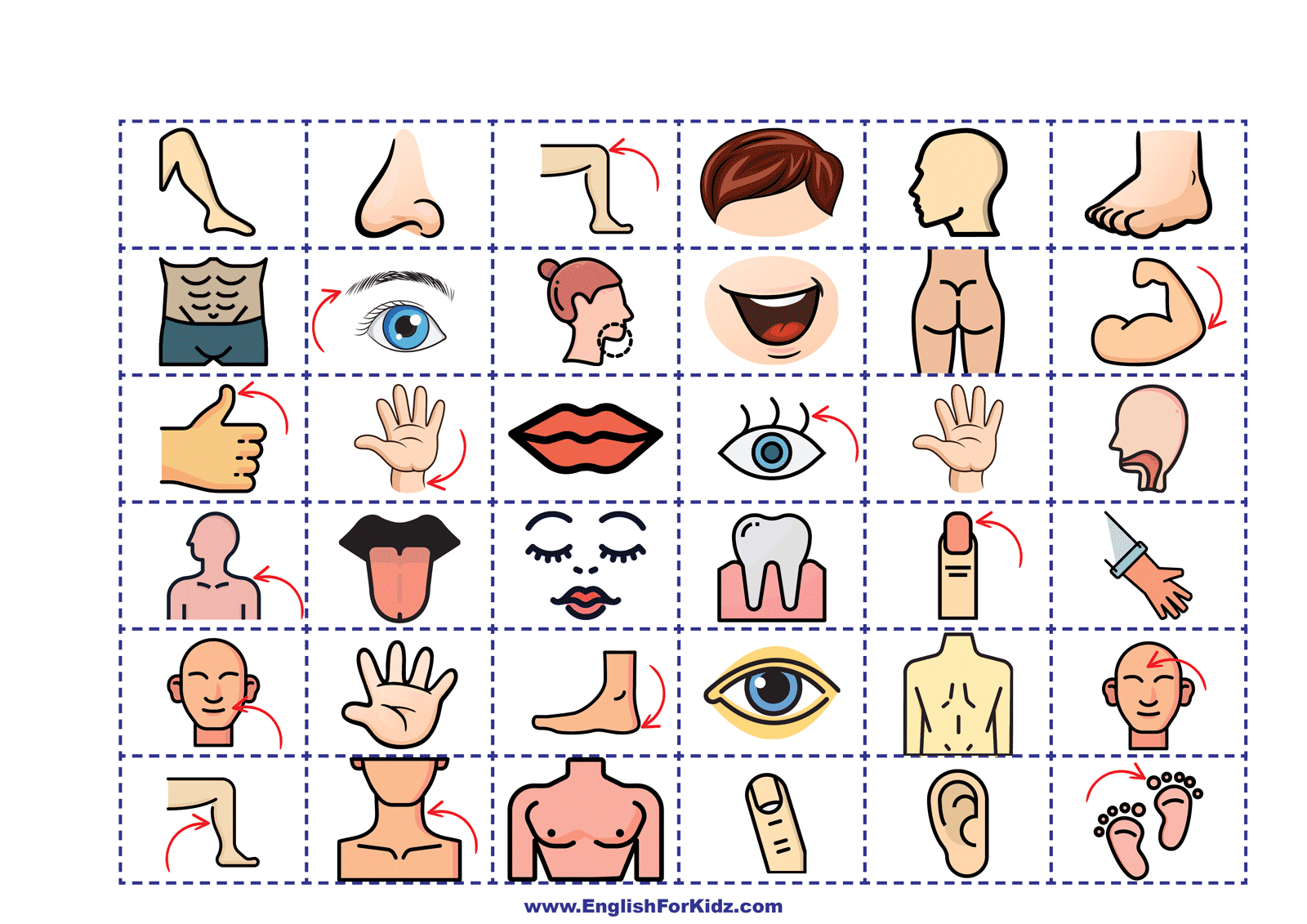 English For Kids Stepstep: Parts Of The Body - Printable Board pertaining to Printable Parts of the Body