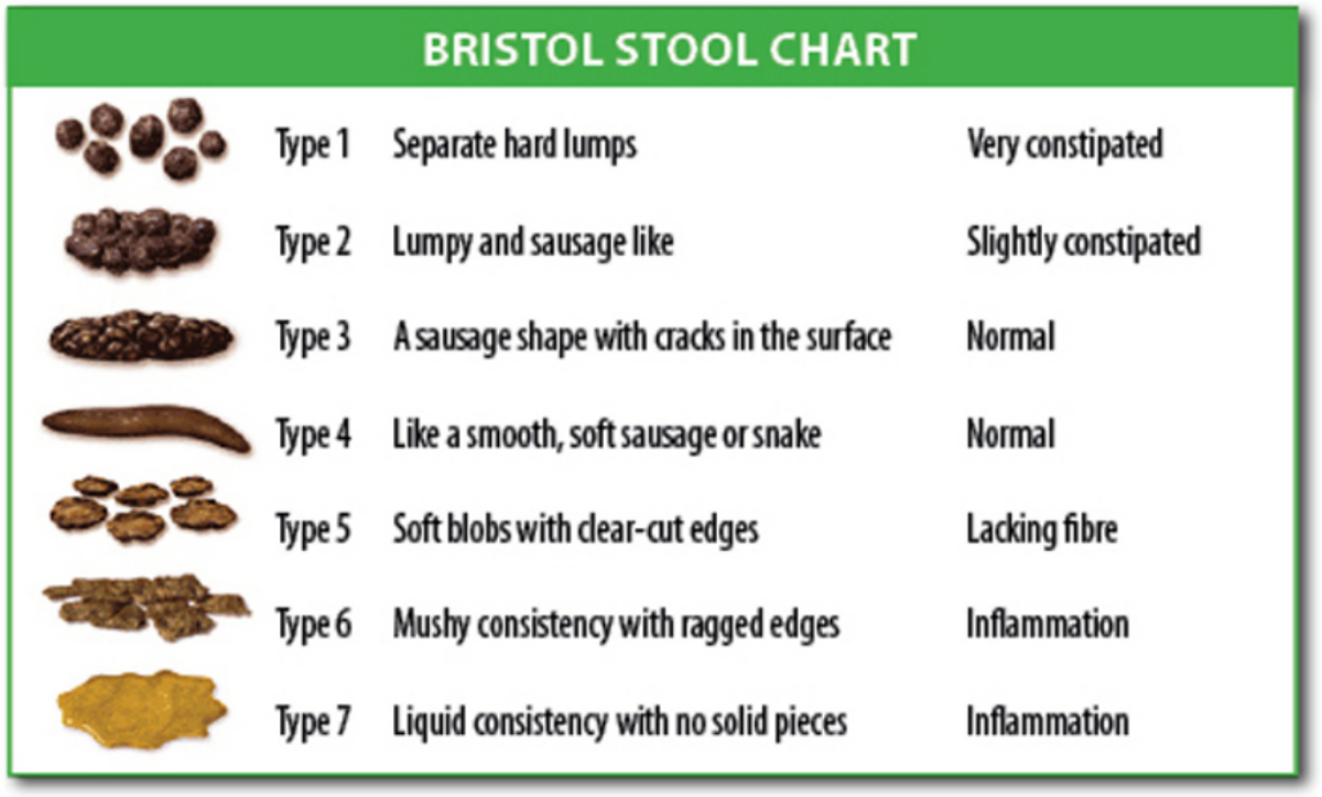 File:bristol Stool Chart.svg - Wikimedia Commons with regard to Free Printable Bristol Stool Chart