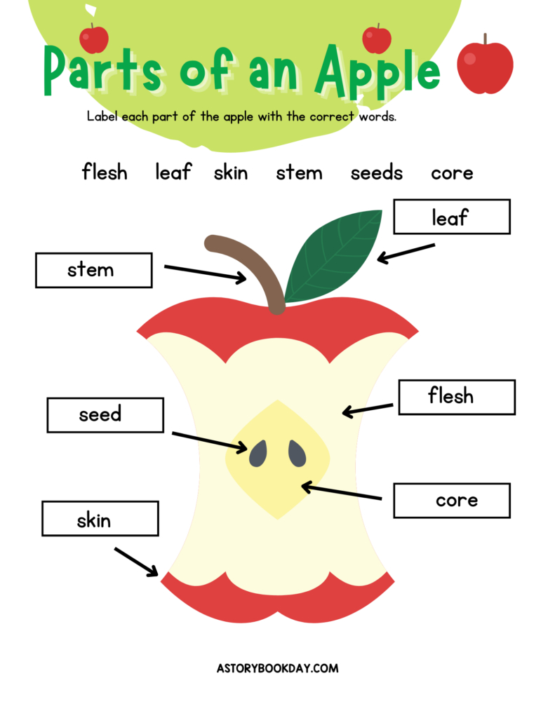 Free Printable Parts Of An Apple Worksheet For Kids - A Storybook Day regarding Parts of an Apple Printable