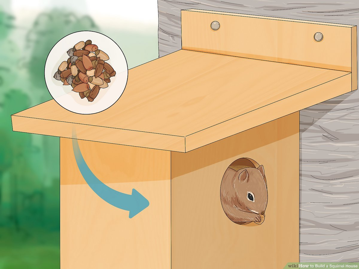 How To Build A Squirrel House: 14 Steps (With Pictures) - Wikihow with regard to Printable Squirrel House Plans
