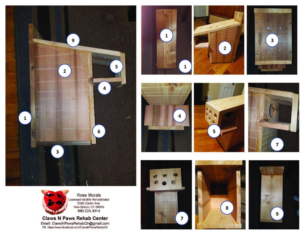 How To Make A Squirrel House - Claws N' Paws Rehab Center Service inside Printable Squirrel House Plans