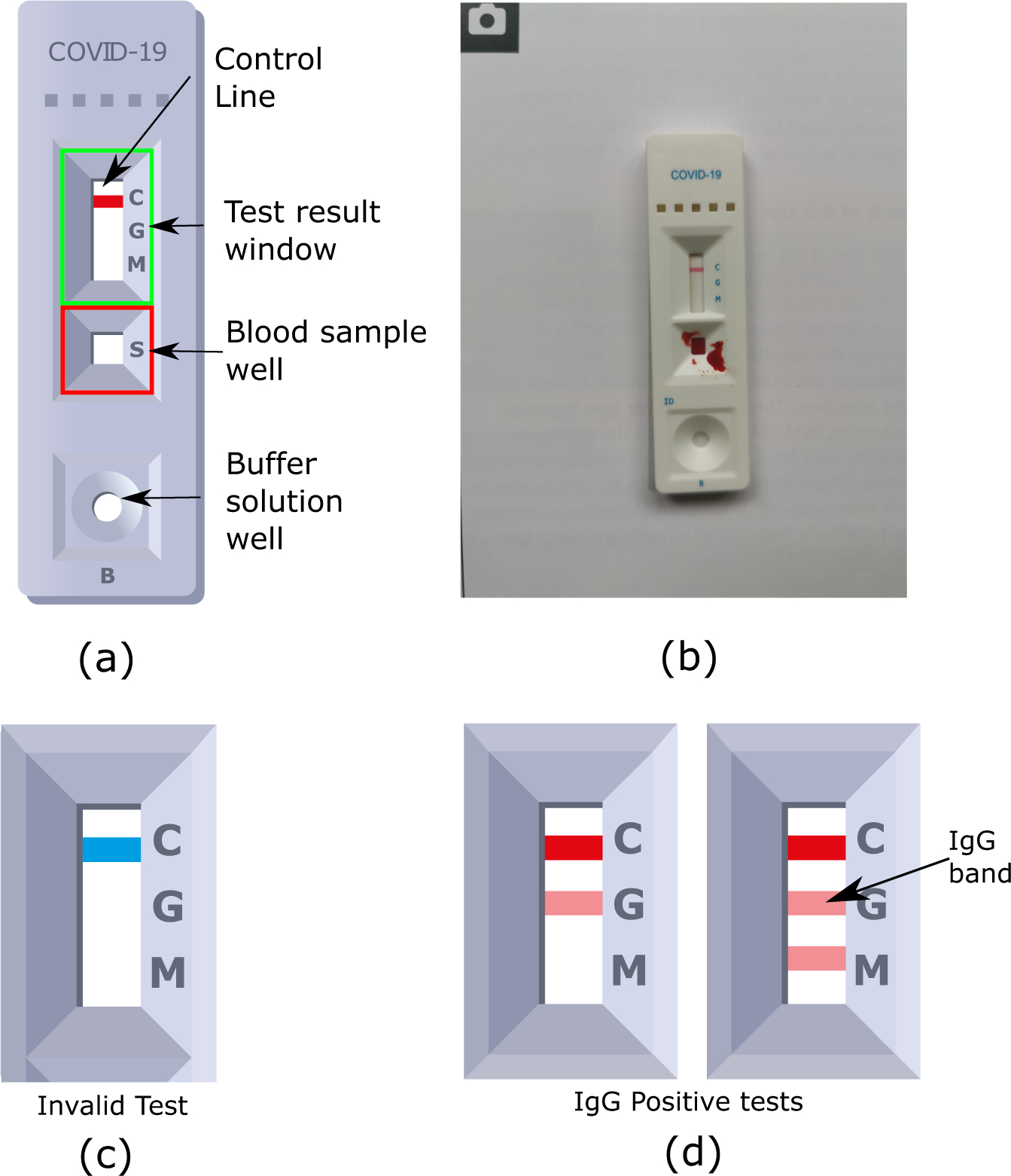 Machine Learning To Support Visual Auditing Of Home-Based Lateral intended for Printable Negative Covid Test Results