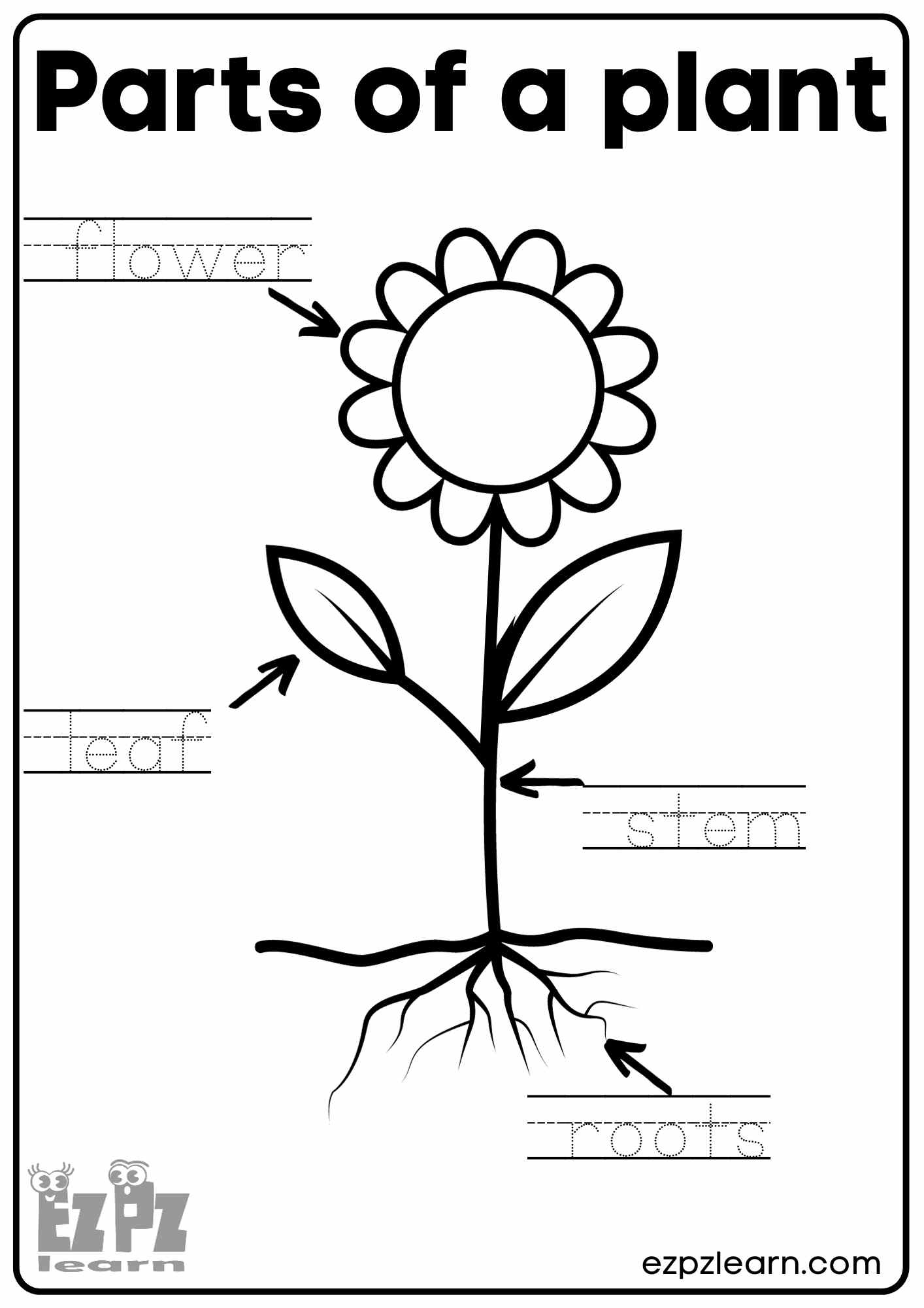 Parts Of A Plant Vocabulary Worksheet Write The Words And Color inside Printable Flower Activities For Preschoolers