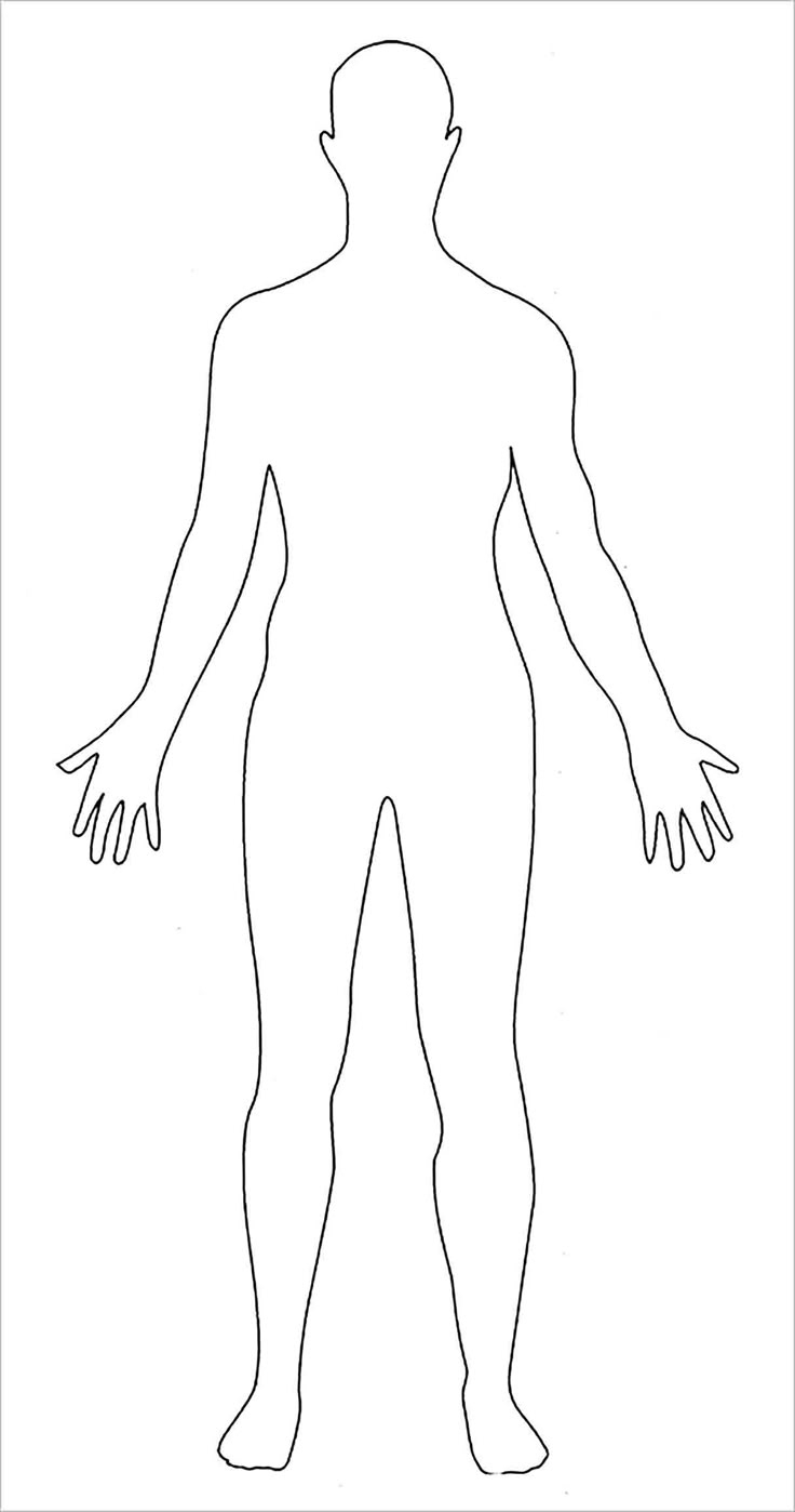 Printable Outline Of A Body : Blank Diagram Anatomy Anatomical pertaining to Printable Human Body Outline Template