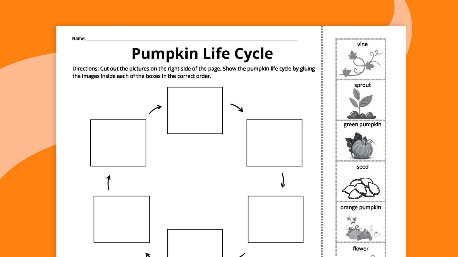 Pumpkin Life Cycle Worksheets For Kids (Free Printables) pertaining to Free Printable Life Cycle Of A Pumpkin