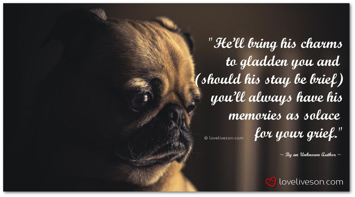 Top 10 Loss Of Dog Poems intended for Saying Goodbye To A Dog Poem Short Printable