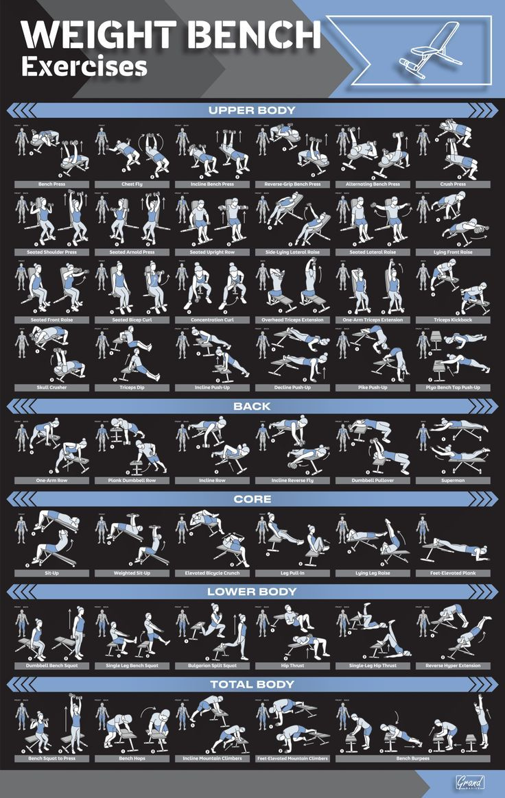 Weight Bench Workout Poster - Illustrated Weight Bench Exercises throughout Printable Weight Bench Exercise Chart