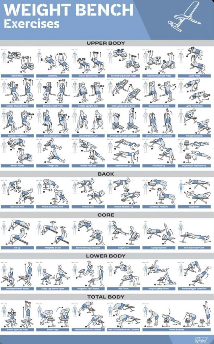 Weight Bench Workout Poster intended for Printable Weight Bench Exercise Chart